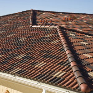 Roof-1